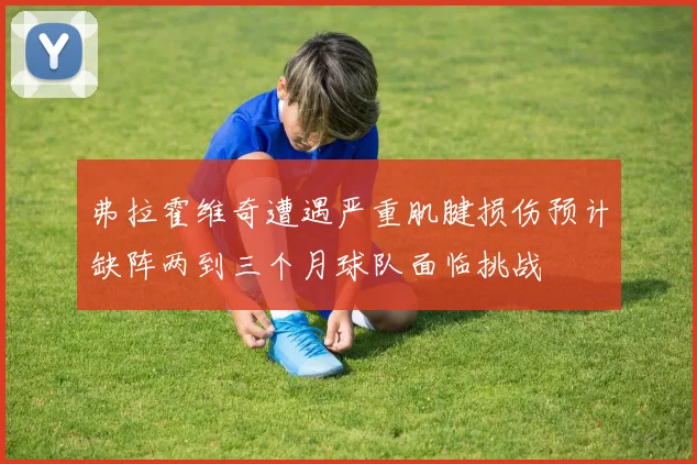 弗拉霍维奇遭遇严重肌腱损伤预计缺阵两到三个月球队面临挑战