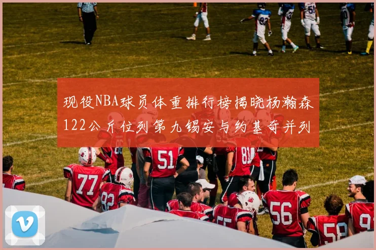 现役NBA球员体重排行榜揭晓杨瀚森122公斤位列第九锡安与约基奇并列第三