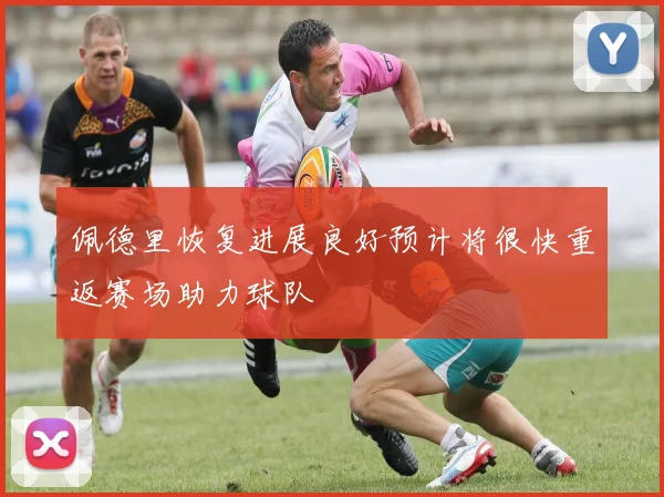 佩德里恢复进展良好预计将很快重返赛场助力球队